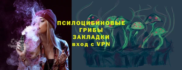 a pvp Пересвет
