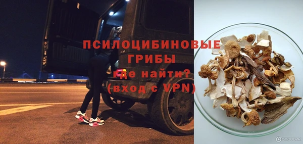 a pvp Пересвет