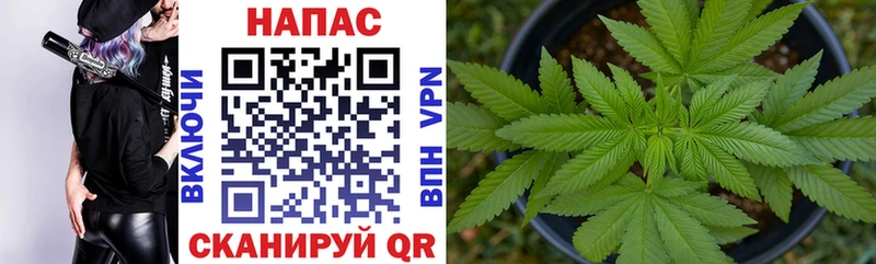 Бошки Шишки Ganja Азнакаево